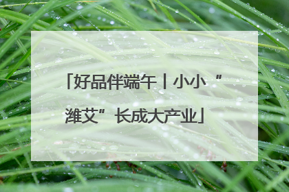 好品伴端午丨小小“潍艾”长成大产业